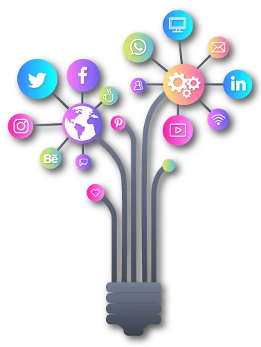 Services We provide